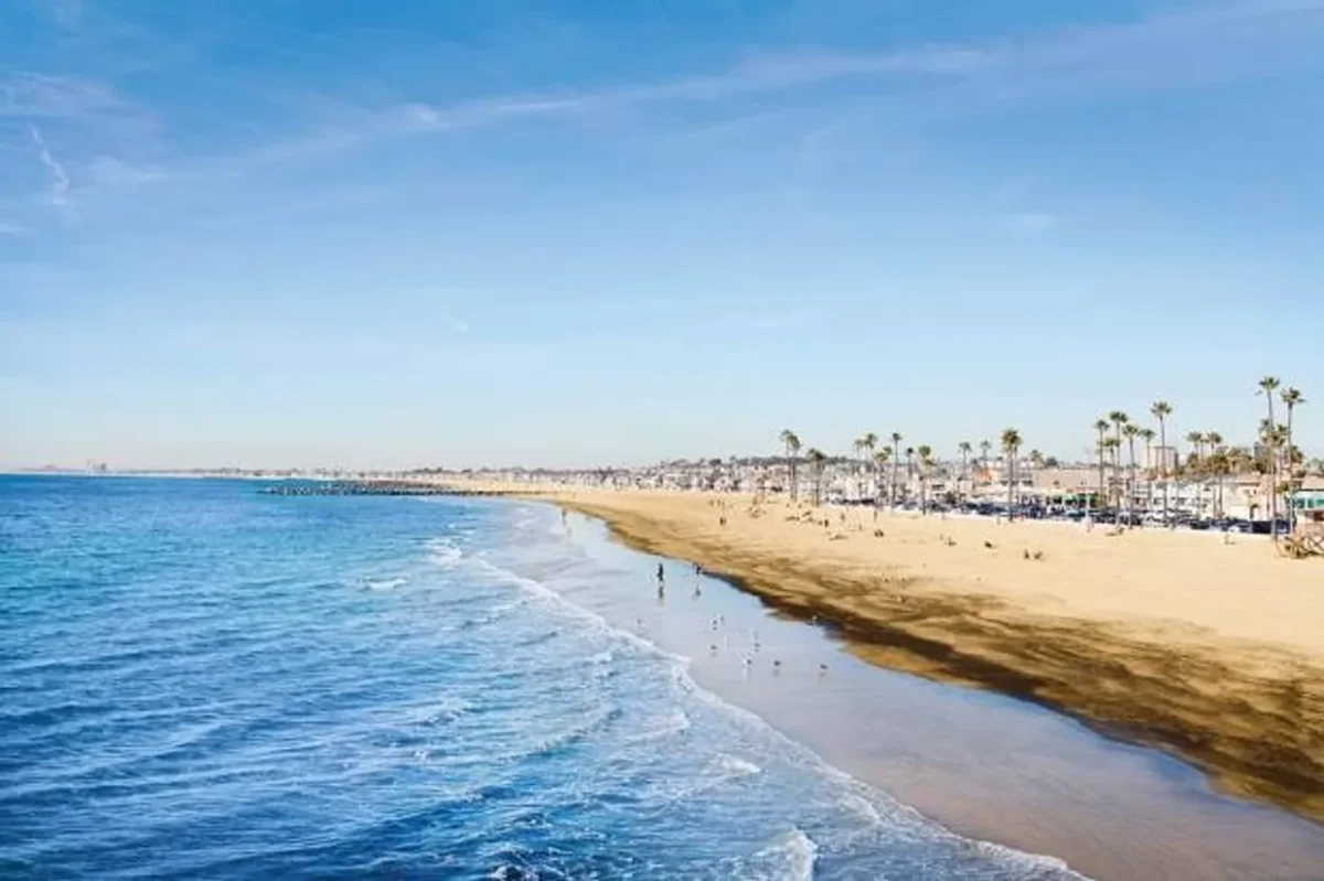 Sand, surf and palm-lined beachfront along the Newport Beach Peninsula in California